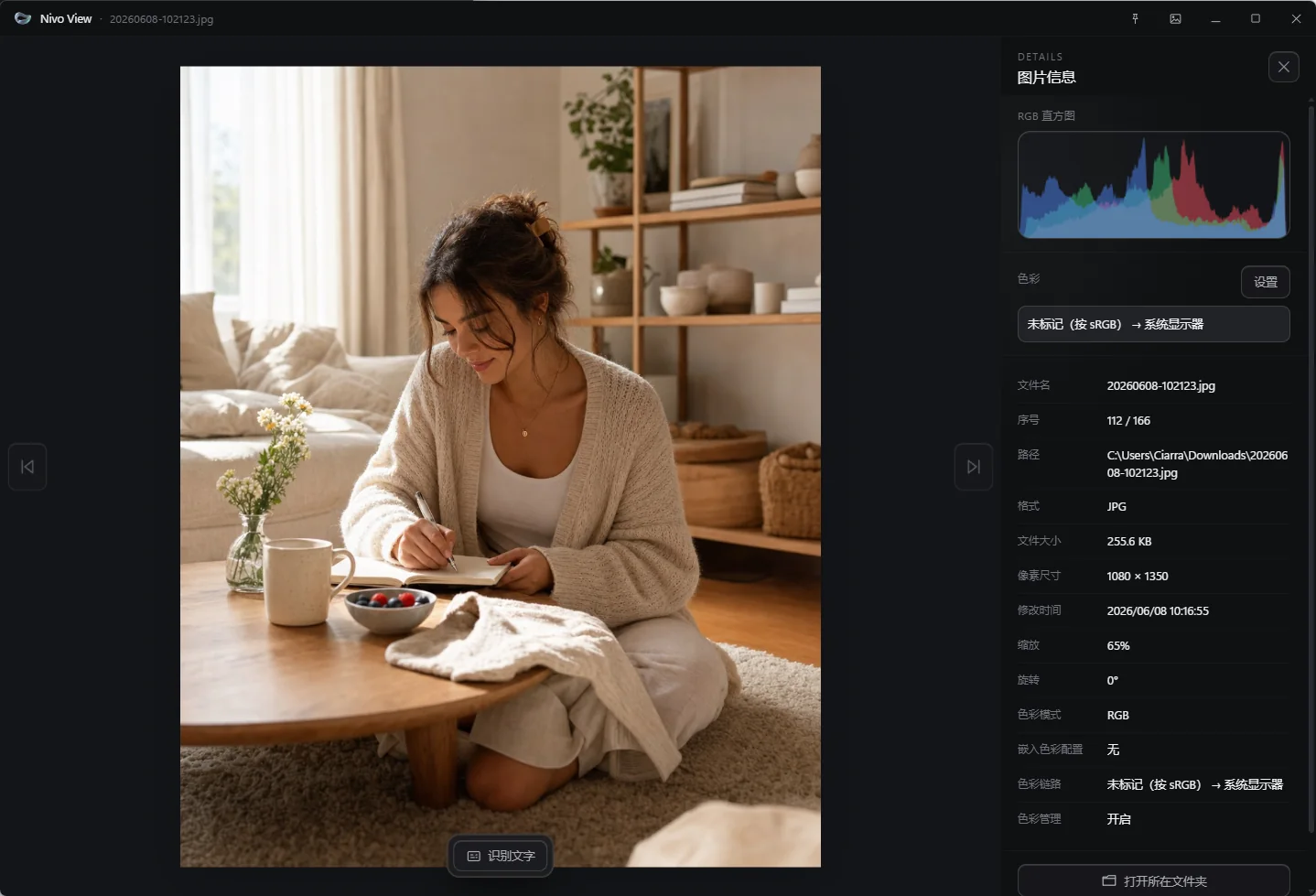 Nivo View Windows 查看专业图片格式